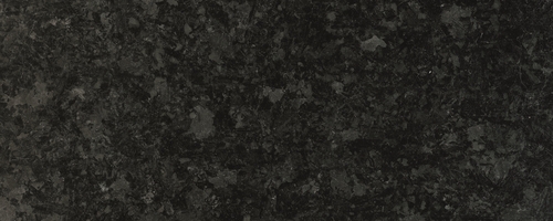 Labrador Angola Black