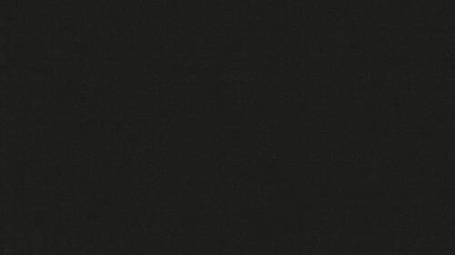 1011L Parisian Pearl