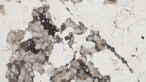 9060 Patagonia Martinica